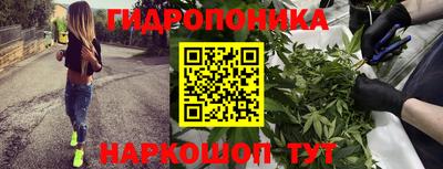 ГАЛЛЮЦИНОГЕННЫЕ ГРИБЫ Мариинск