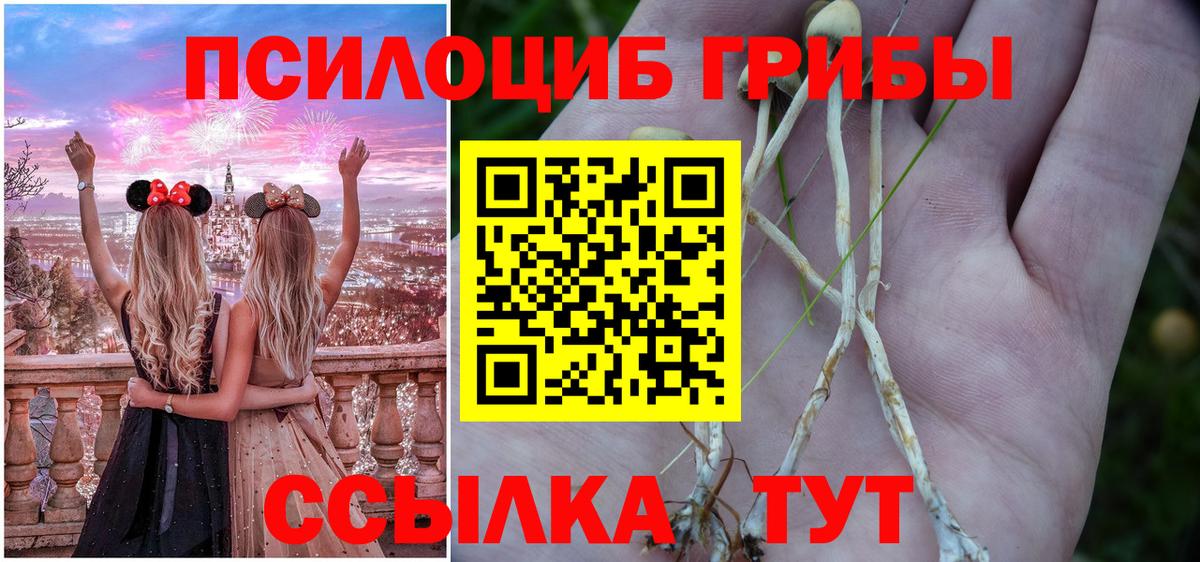 Псилоцибиновые грибы мицелий  Вход с VPN  Каменск-Уральский 