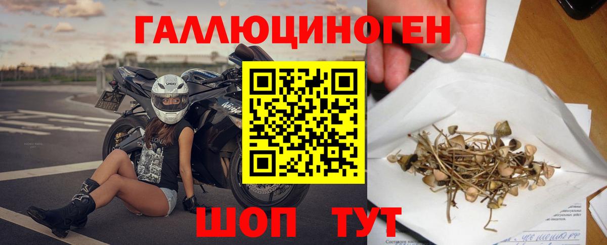 Галлюциногенные грибы GOLDEN TEACHER Каменск-Уральский